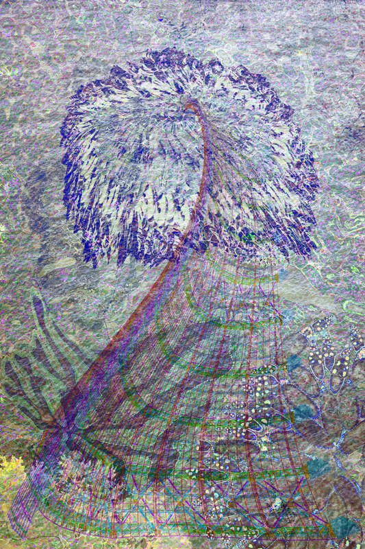 Alex Fischer, Casting a Wide Net, 2018-05-15